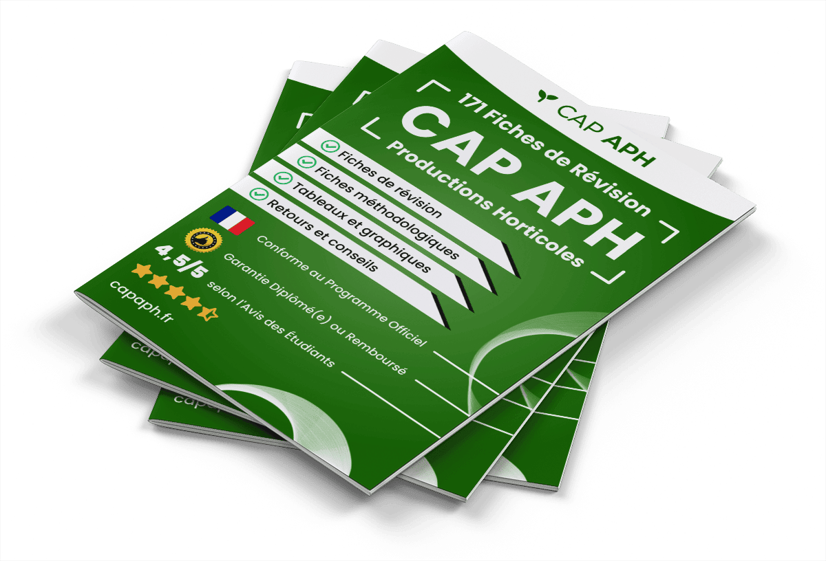 171 Fiches de Révision pour le CAP PH